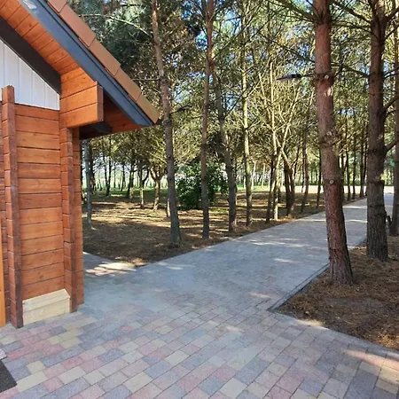 Lesne Zacisze * Kawice