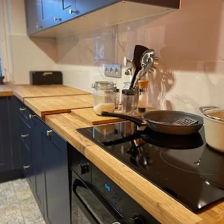 Lesne Zacisze Tatil Evi Kawice