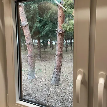 Lesne Zacisze Tatil Evi