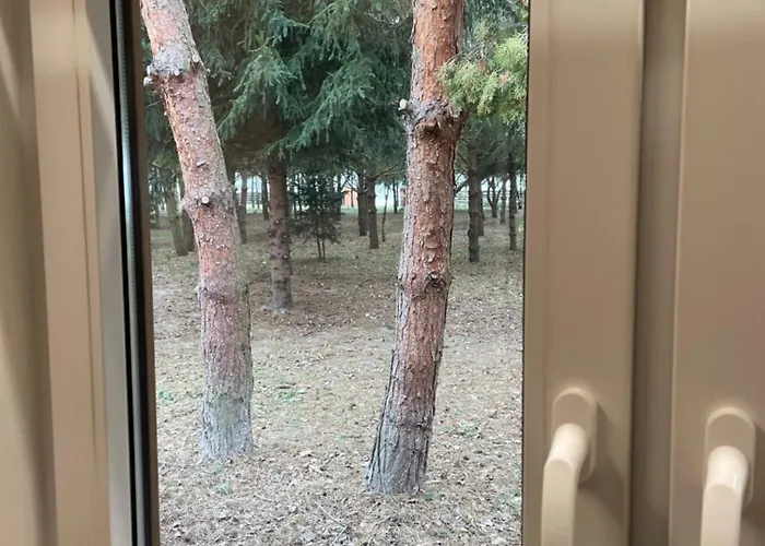 Lesne Zacisze Casa de Férias